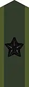 Collar patch on field uniform M90 for a brigadier general[c] (2002–present)