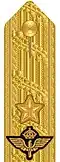 Shoulder mark (Air Force) (2000–present)