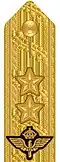 Shoulder mark on uniform m/87 (Air Force) (1987–present)