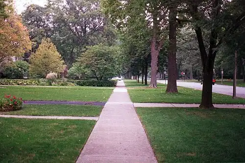 Sidewalk with trees in Oak Park, Illinois, US