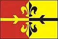 Flag of Okna