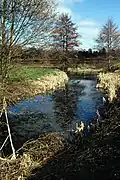 Hen Gwrt moated site