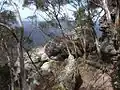 The summit
