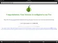 Onion Browser on iPad