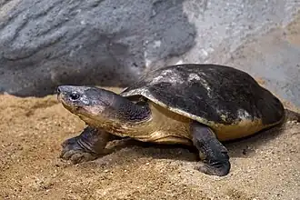 Prague Zoo