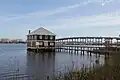 NE View - Bridge in Background
