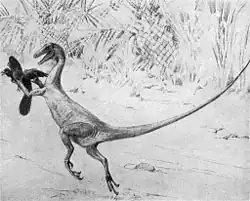 Ornithosteles