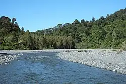 Remutaka Forest Park, a temperate woodland in the North Island
