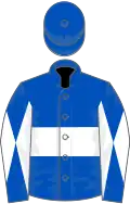 Royal blue, white hoop, diabolo on sleeves