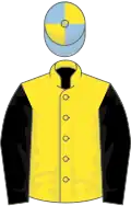 Yellow, black sleeves, yellow and light blue quartered cap