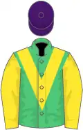 Emerald green, yellow chevron and sleeves, red cap