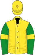 Yellow, green sleeves, yellow armlets