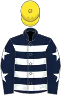 Dark blue, white hoops, dark blue sleeves, white stars, yellow cap