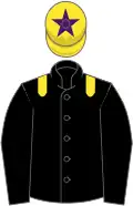Black, yellow epaulettes, yellow cap, purple star