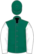 Dark green, white sleeves, black and white hooped ca