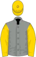 Grey, gold sleeves and cap