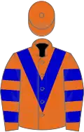 Orange, blue chevron, hooped sleeves