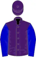 Purple, blue sleeves, hoopd cap