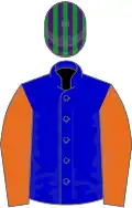 Blue, orange sleeves, purple and green striped cap