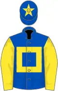 Royal blue, yellow hollow box and sleeves, star on cap