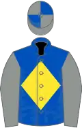 Royal blue, yellow diamond, grey sleeves, grey and royal blue quartered cap