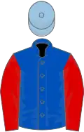 Royal blue, red sleeves, light blue cap
