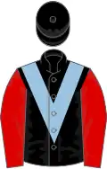 Black, light blue chevron, red sleeves