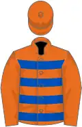 Orange, royal blue hoops on body