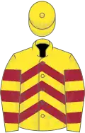Yellow, maroon chevrons, hooped sleeves
