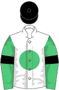 White, emerald green disc, emerald green sleeves, black armlets, black cap