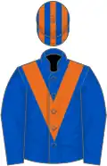 Royal blue, orange chevron, striped cap