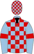Light Blue and Red check, Light Blue sleeves, Red armlets