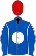 Royal blue, white disc and seams on sleeves, red cap