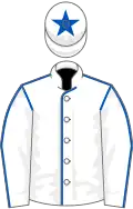 White, royal blue seams, white cap, royal blue star
