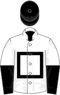 White, black hollow box, halved sleeves, black cap