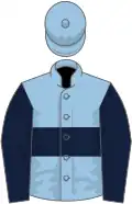 Light blue, dark blue hoop, dark blue sleeves, light blue cap