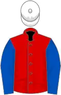 Red, royal blue sleeves, white cap