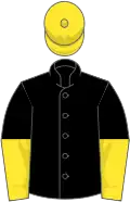 Black, yellow halved sleeves, yellow cap
