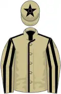 Beige, black seams, striped sleeves and star on cap