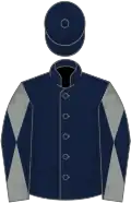 Dark blue, grey and dark blue diabolo on sleeves