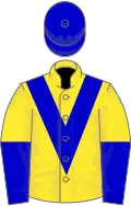 Yellow, Royal blue chevron, halved sleeves, royal blue cap