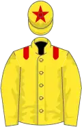 Yellow, red epaulets, star on cap