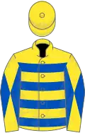 Yellow, royal blue hoops, diabolo on sleeves, yellow cap