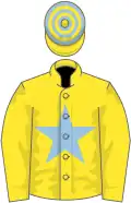 Yellow, light blue star, hooped cap