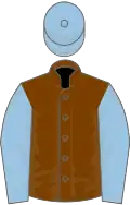 Chocolate, light blue sleeves and cap