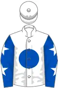 White, royal blue disc, royal blue sleeves, white stars