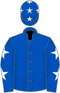 Royal blue, white stars on sleeves, white stars on cap