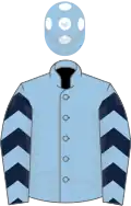 Light Blue, Dark Blue chevron hoops on body and sleeves, Light Blue cap, White spots