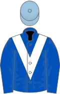 Royal blue, white chevron, light blue cap