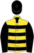 Yellow, black hoops, black sleeves, black cap, yellow discsc on cap